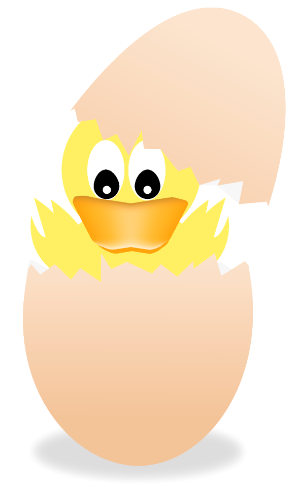 Chicken duck holiday