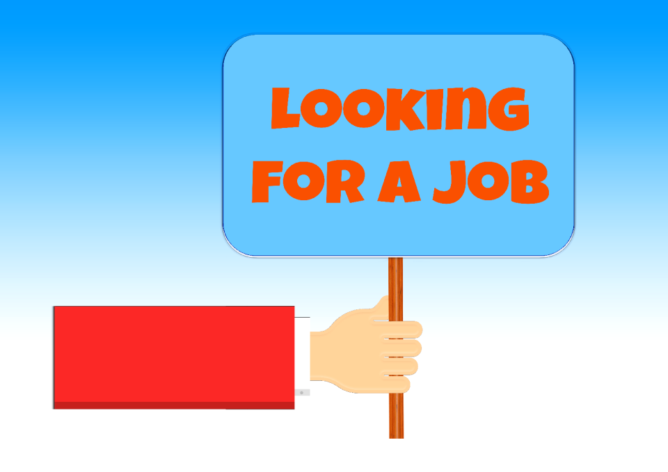 Board profession job