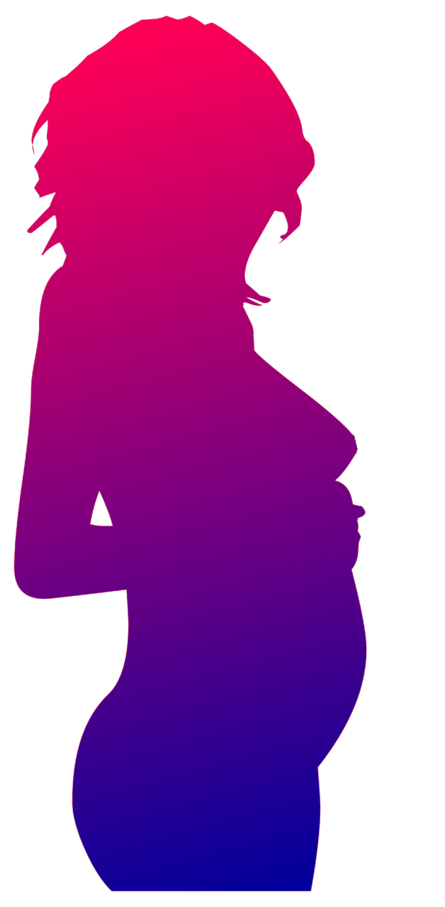 Silhouette pregnancy pregnant woman