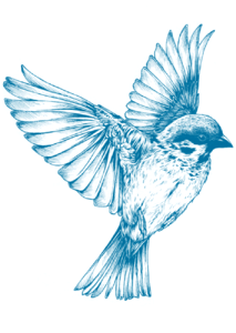 Spring wing cute