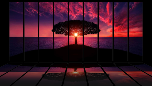 Sunset colors Free illustrations