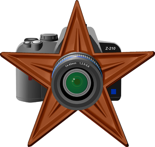 Icon star symbol