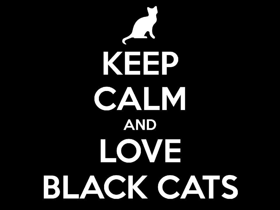 Black cat appreciation day message quote