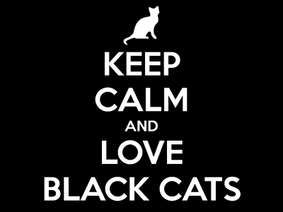 Black cat appreciation day message quote