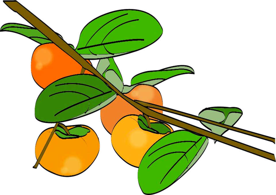 Autumn fruit Free illustrations