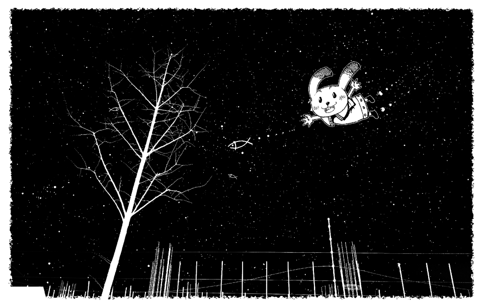 Fish sky bird