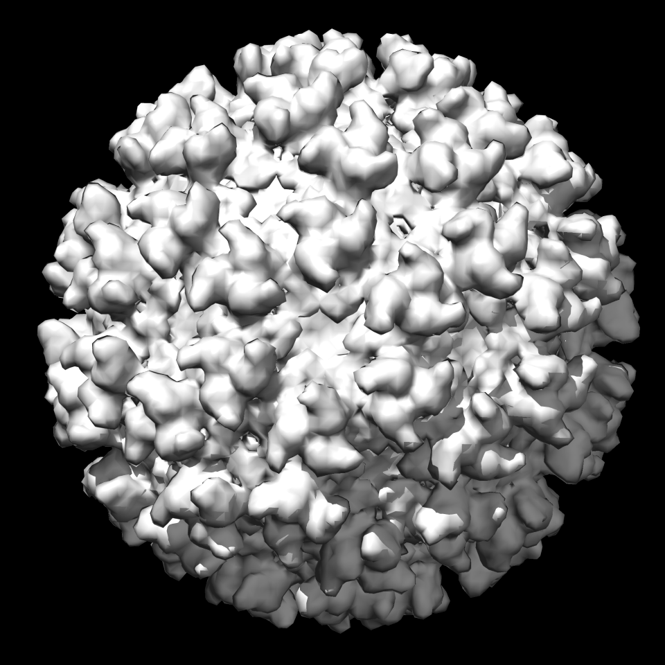 Biology science gray virus