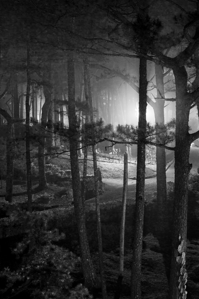 Fog the manor sky
