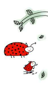 Insect baby ladybug nature