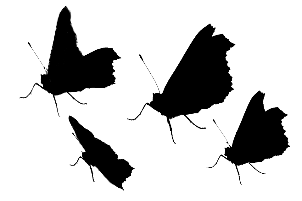 Isolated psd Free illustrations
