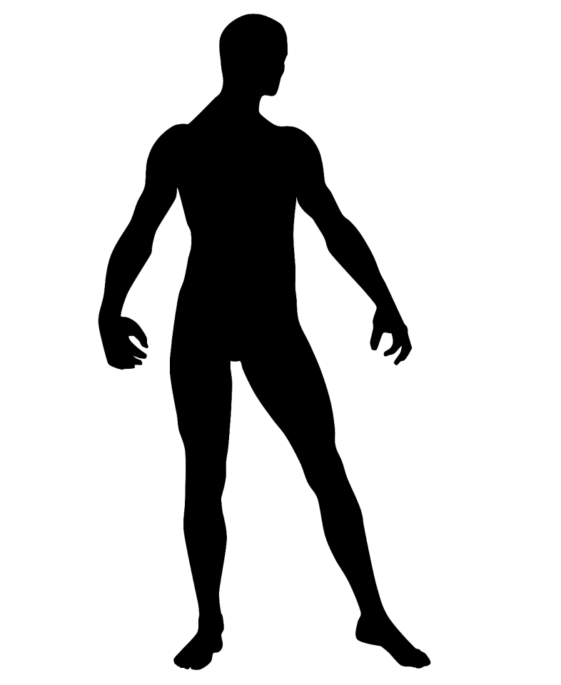 Body man Free illustrations