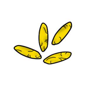 Egg transmitter disease