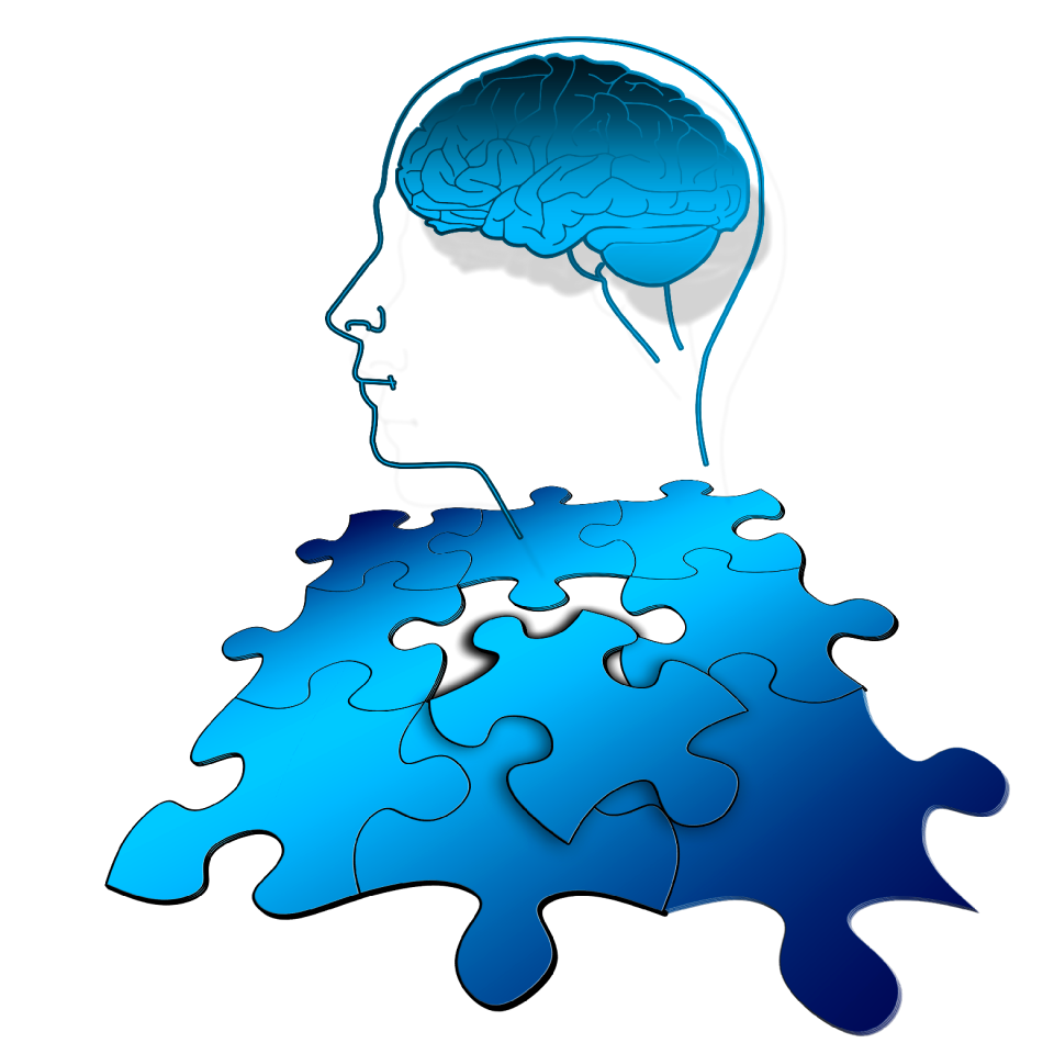 Brain thinking function