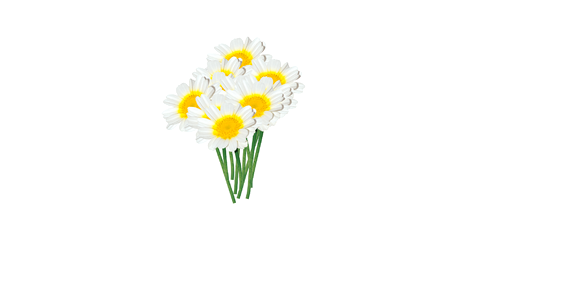 Bouquet of flowers colorful Free illustrations
