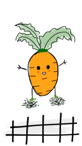 Carrot baby happy cute