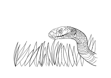 Creepy viper design