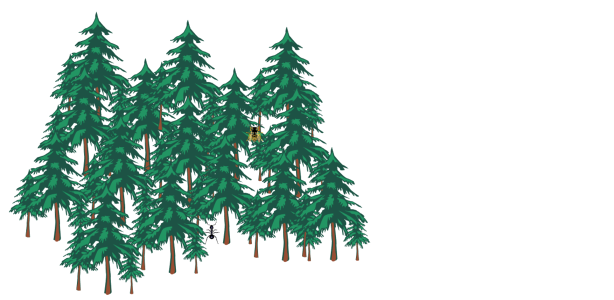 Nature trees Free illustrations
