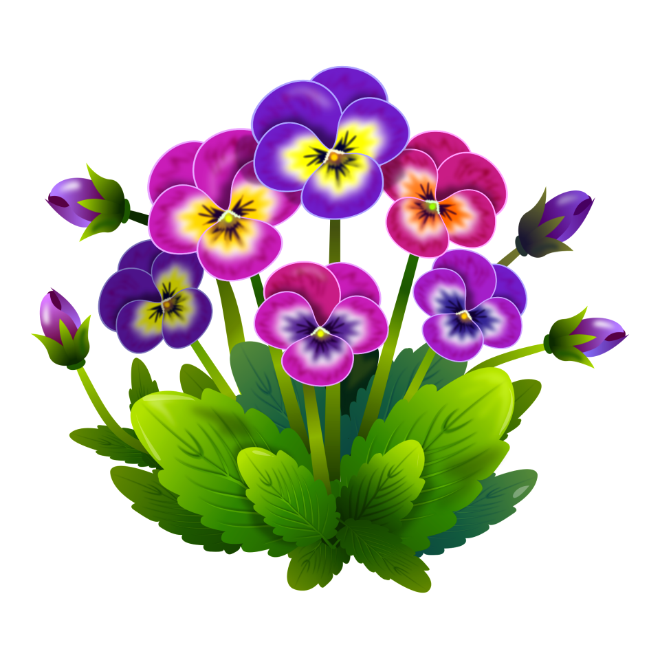 Garden nature colorful