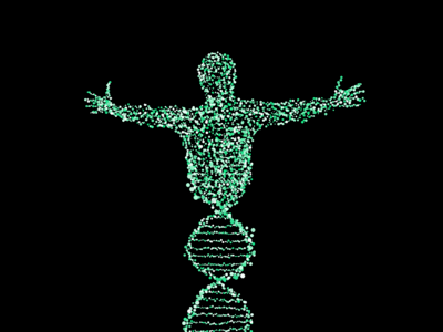 Biology merge points