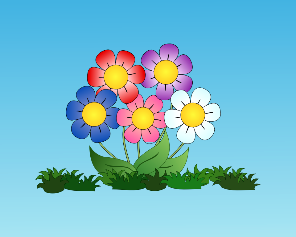 Bloom blossom flora