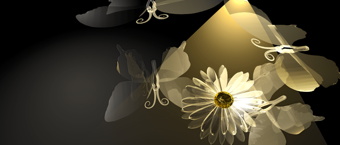 Flowers light shiny