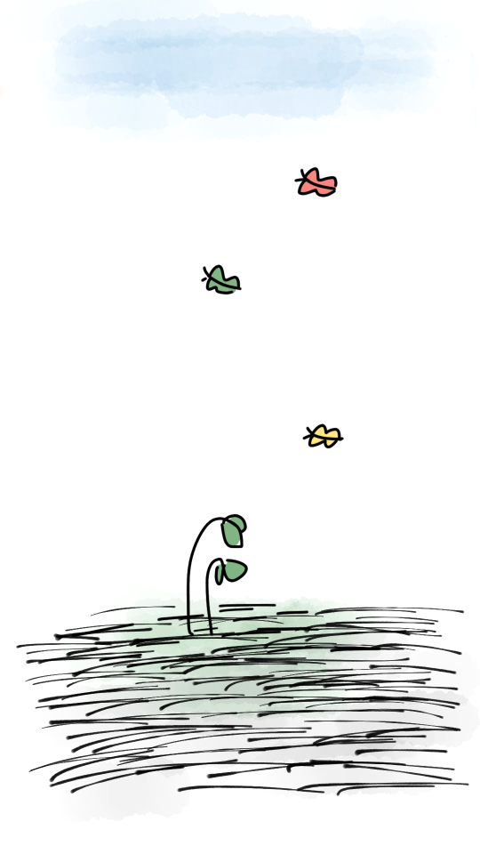 Butterfly nature plan