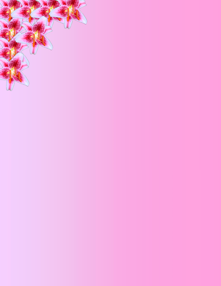 Lily stargazer corner