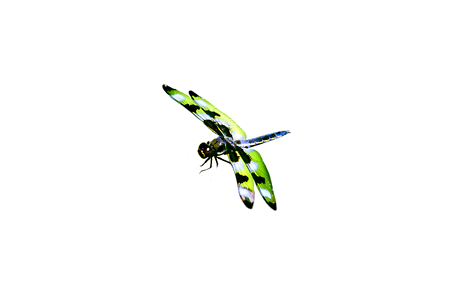 Black blue Free illustrations