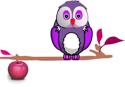 Bird owl wise old owl