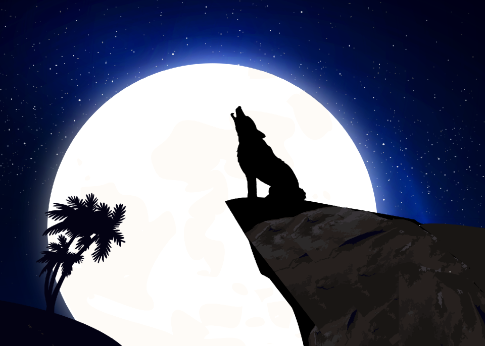 Moonlight twilight new moon
