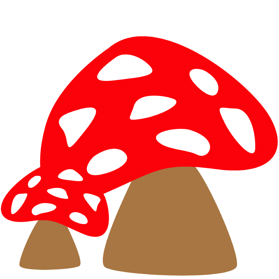 Forest porcini mushrooms king bolete