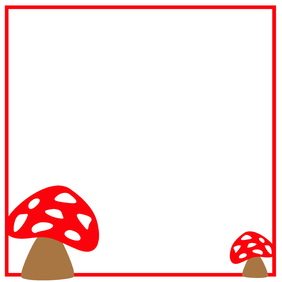 Forest porcini mushrooms king bolete