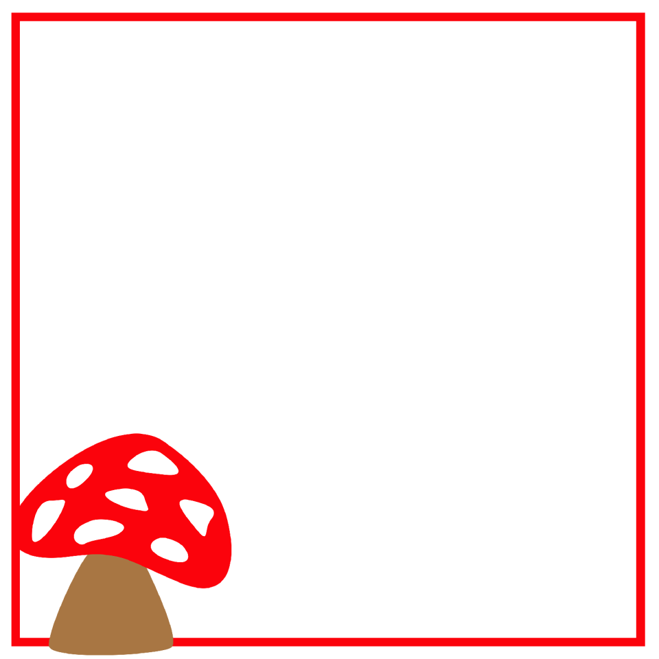Forest porcini mushrooms king bolete