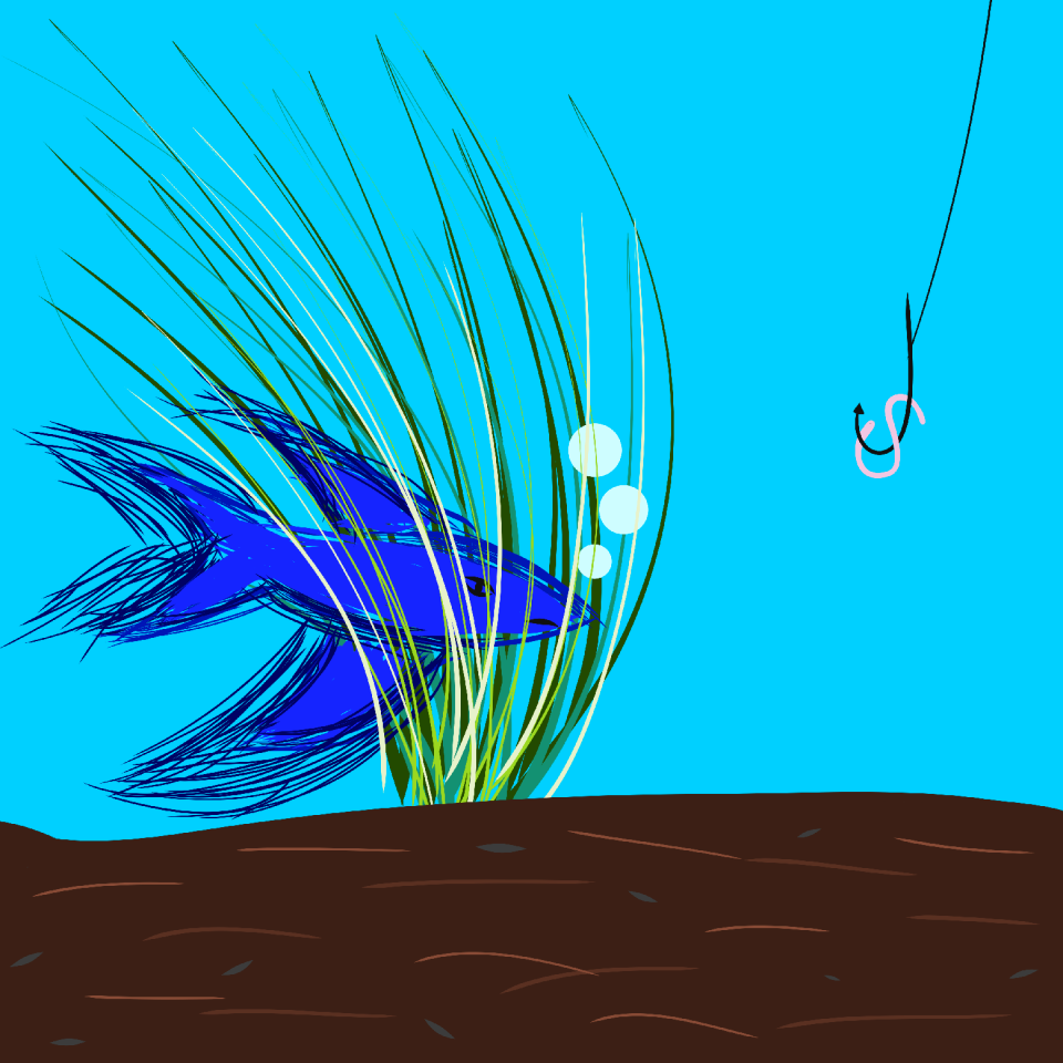 Hook worm sea