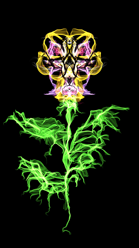 Beautiful disjunct flower