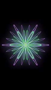 Flower color art