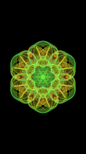 Pattern color flower