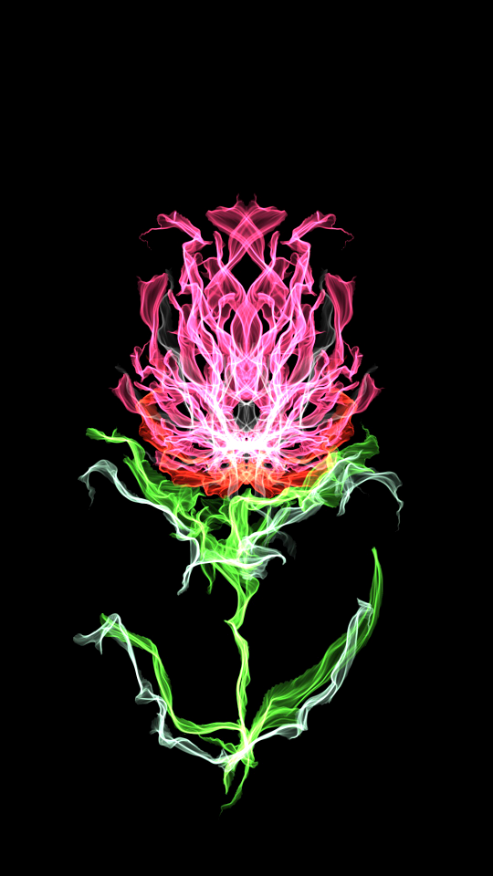 Disjunct flower bright