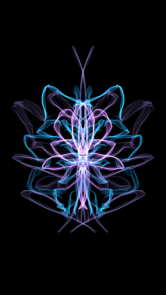 Design flower butterfly