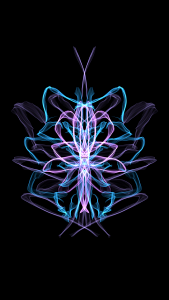 Design flower butterfly