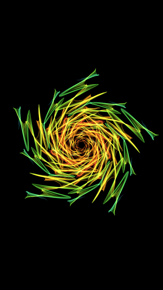 Pattern color flower