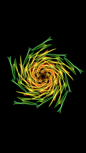 Pattern color flower