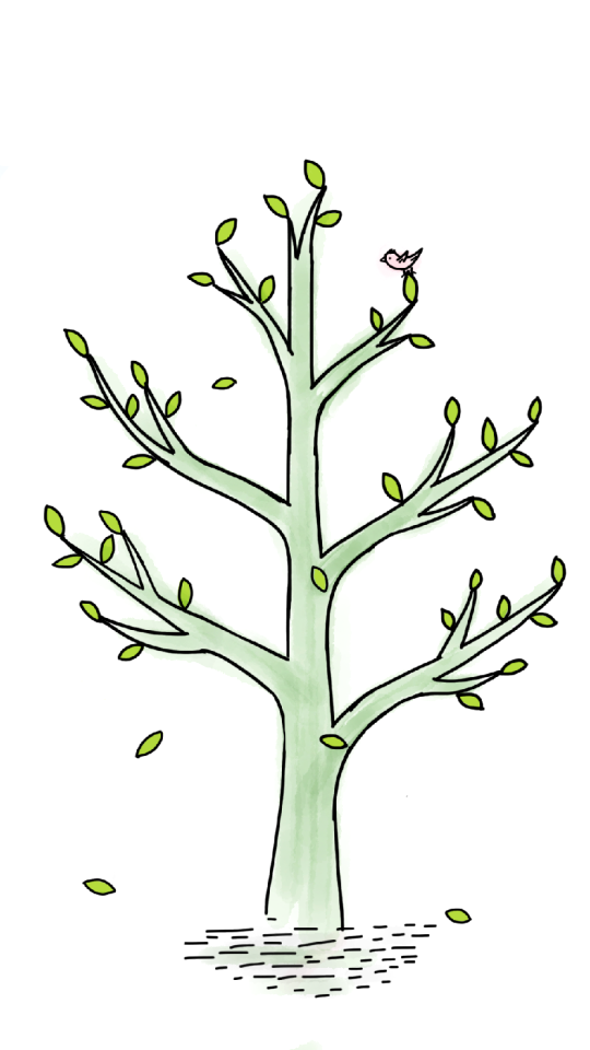 Green branch nature