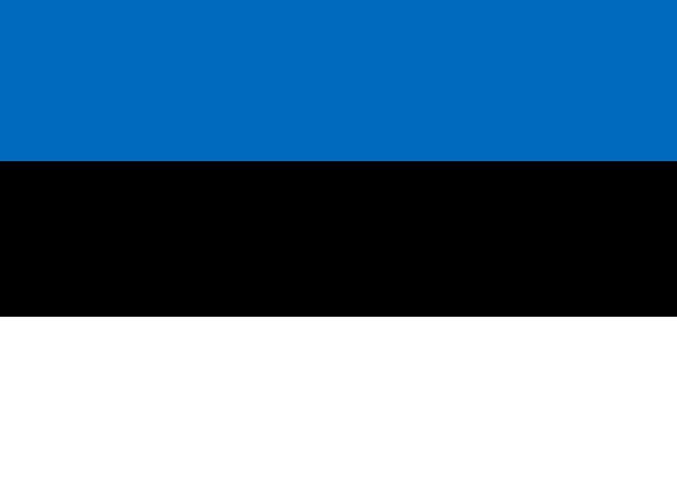 Eastern europe flag international