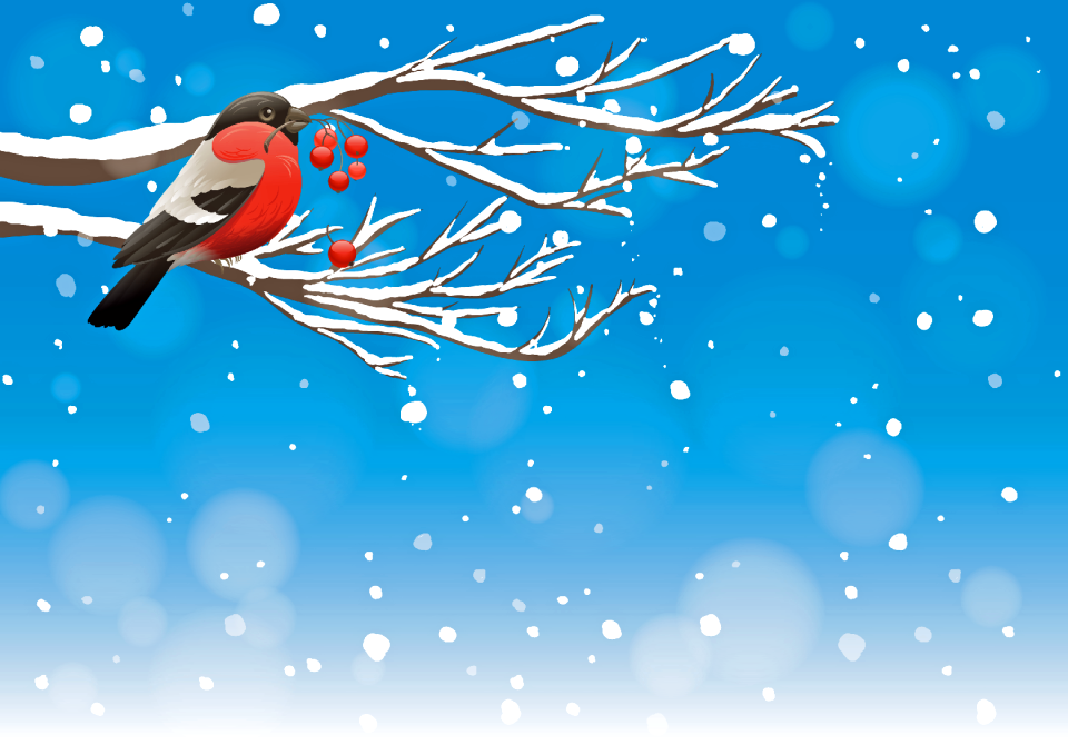 Berries holly bird