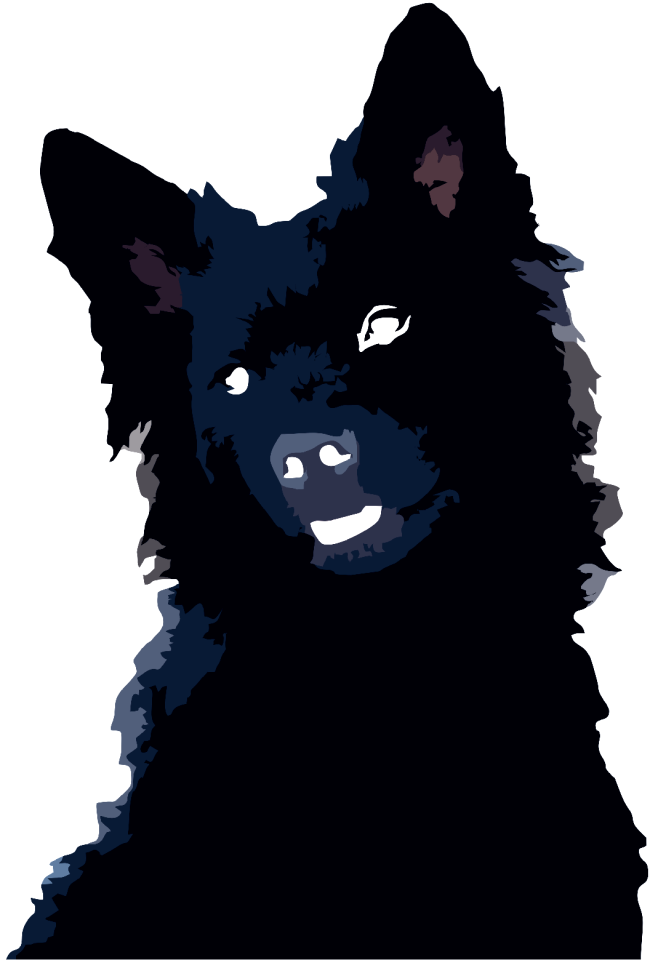 Dog native breed dog silhouette
