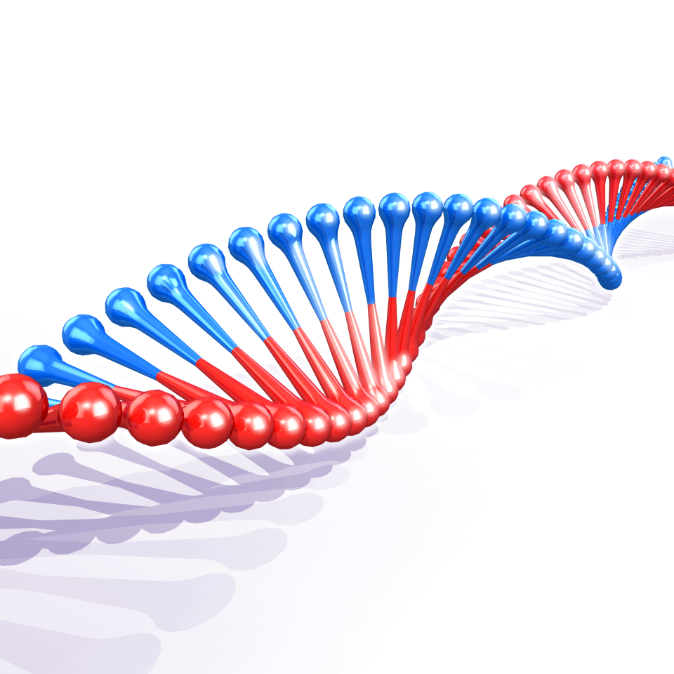 Biology dna strand Free illustrations