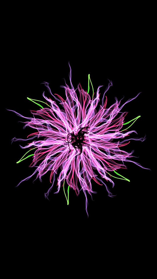 Desktop beautiful flora