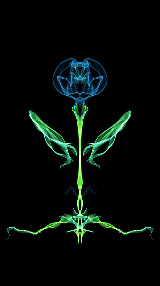 Nature flower plant