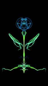 Nature flower plant